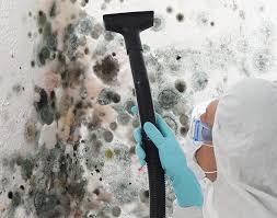 Best Forensic Mold Investigation  in Jacksonville, NC